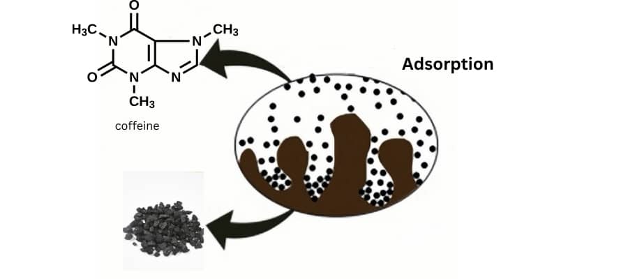 Activated carbon adsorbs caffeine from coffee