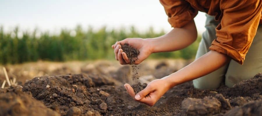 Activated carbon in soil remediation