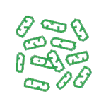 Pellet - Carbón activado Qizhong