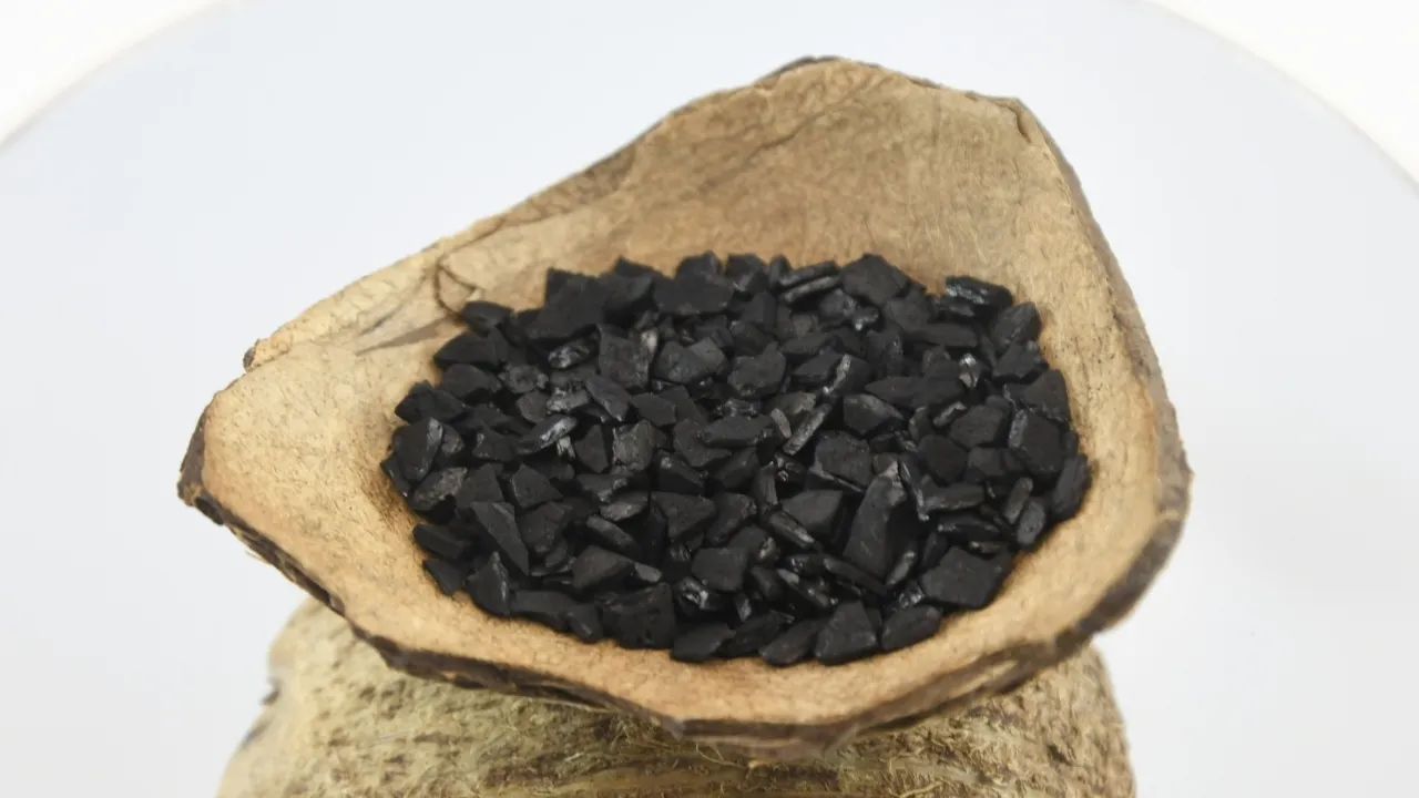 مصنع ومورد الكربون المنشط بقشرة جوز الهند qzce