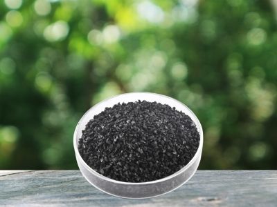 Carbón activado granular para la eliminación de H2S - Qizhong Activated Carbon