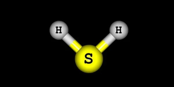 H2S-Entfernung Aktivkohle Lieferant Lieferant Unternehmen - Qizhong Aktivkohle